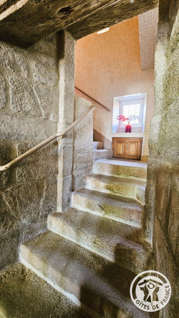 Gîte des alpagas, Chaumeil - photo 158