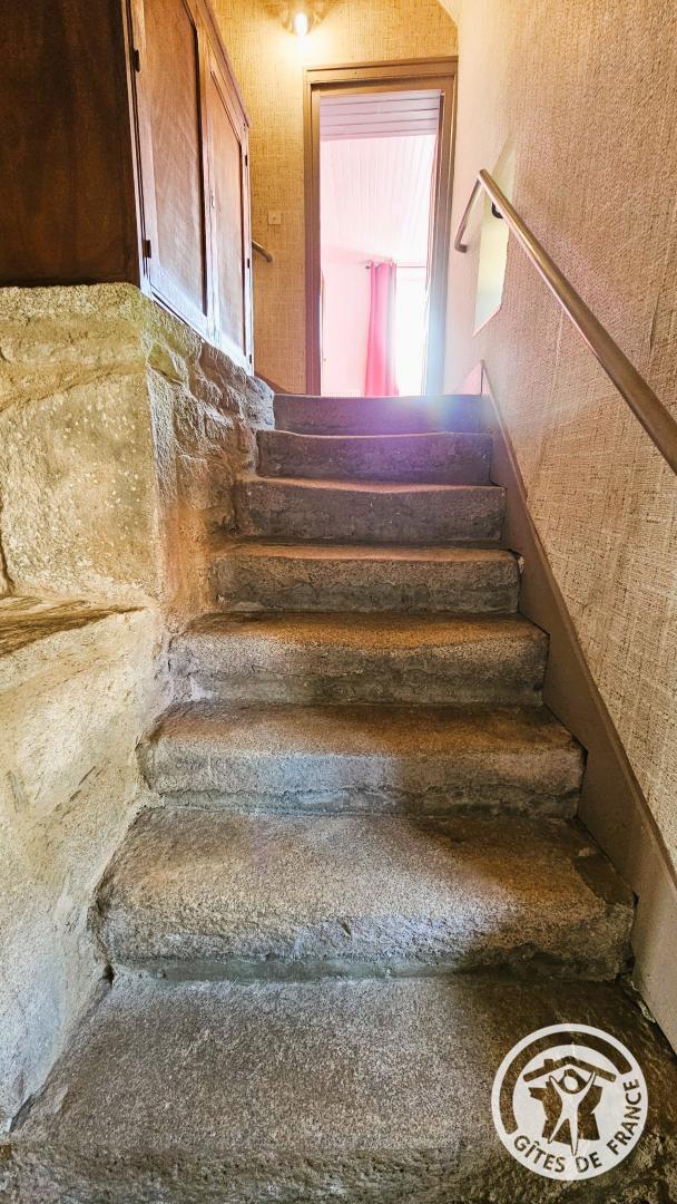 Gîte des alpagas, Chaumeil - photo 187