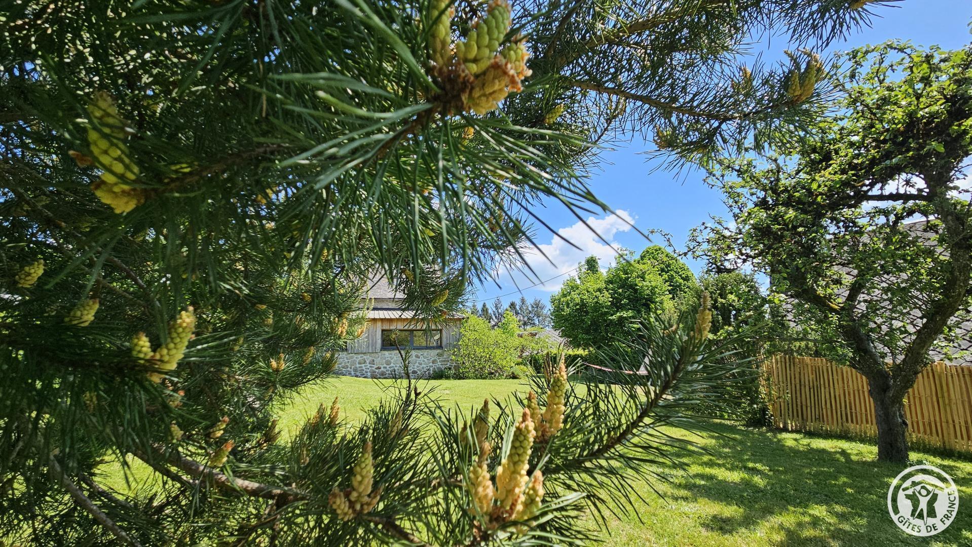 Location Gîtes de France Fleuret, Combressol - photo 144