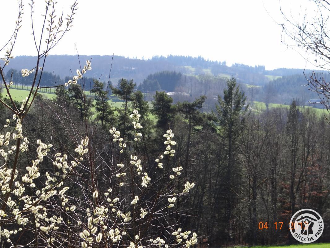 Location Gîtes de France  - Réf : 19G4076, Courteix - photo 53