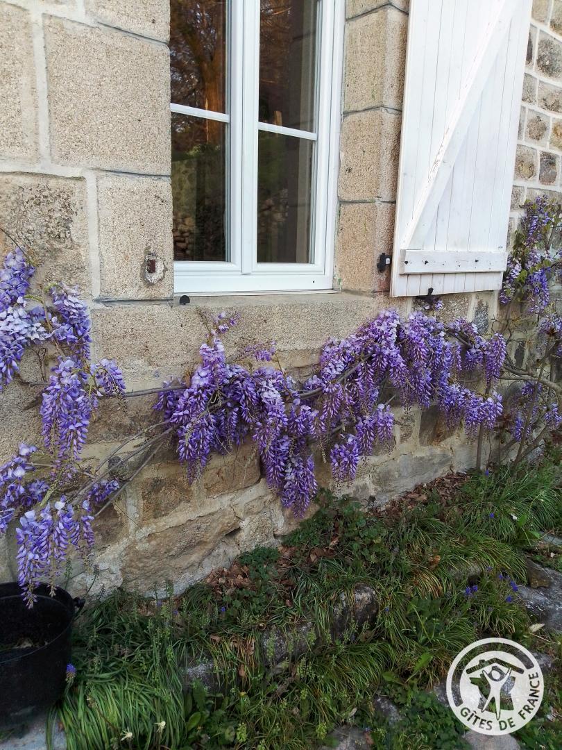 Gîte du Mas, Darnets - photo 187