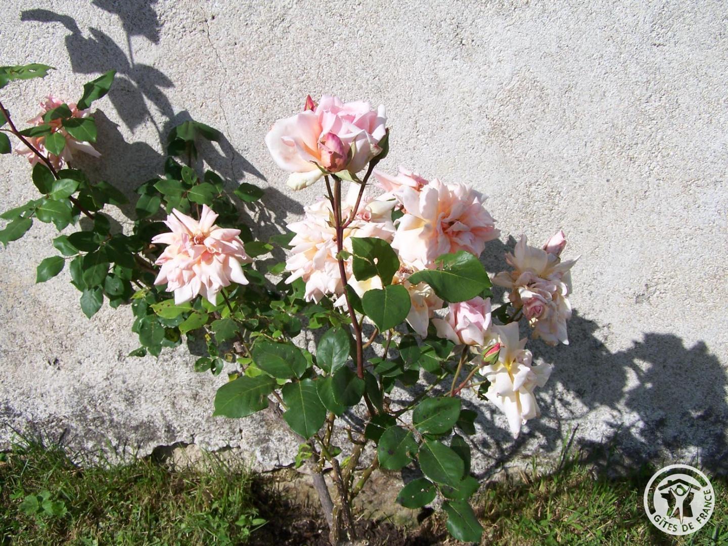 Gîte du Mas, Darnets - photo 178