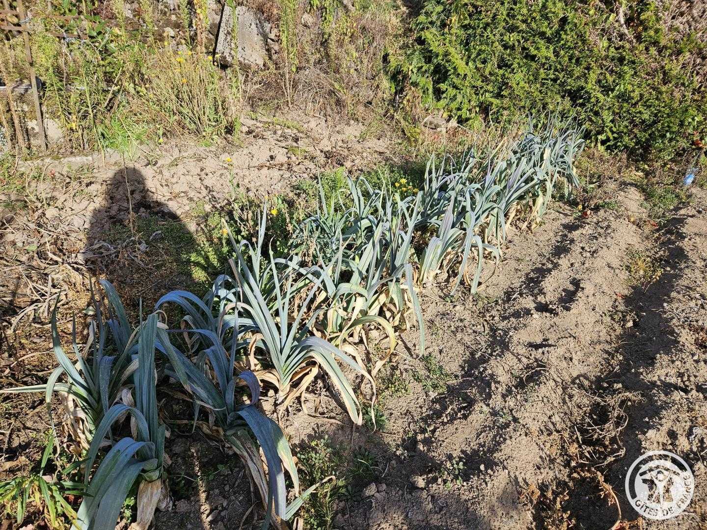 Location Gîtes de France  - Réf : 19G4092, Eygurande - photo 48