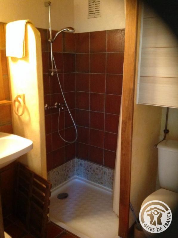 Location Gîtes de France  - Réf : 19G4093, Eygurande - photo 88