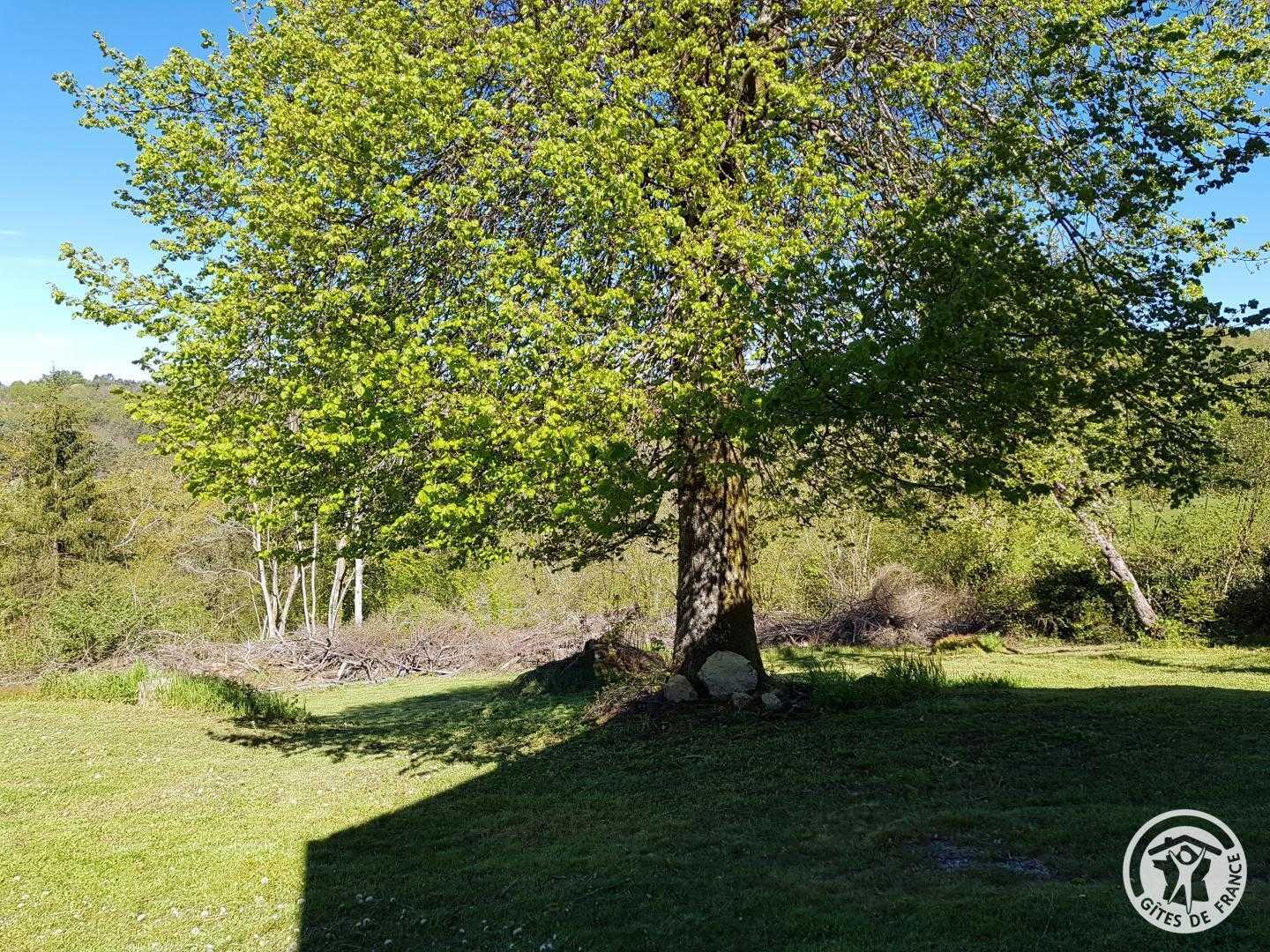 Location Gîtes de France  - Réf : 19G4101, Gourdon-Murat - photo 32