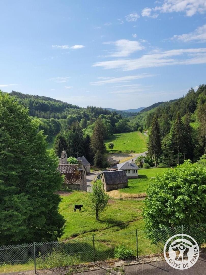 Location Gîtes de France  - Réf : 19G4104, Grandsaigne - photo 118