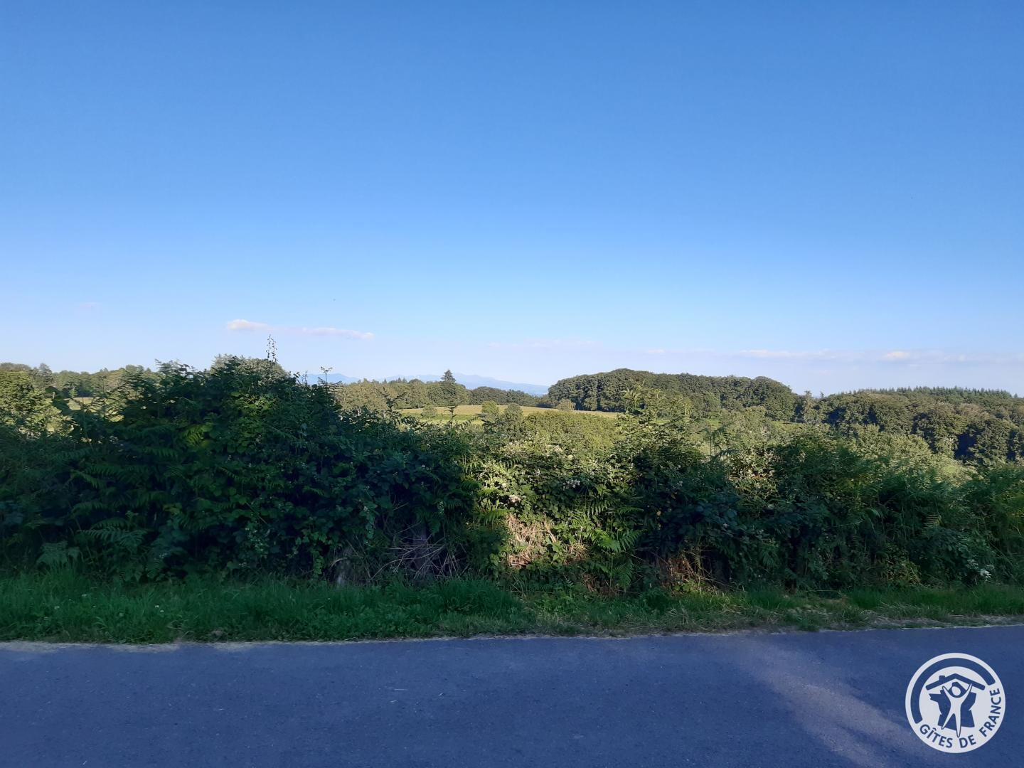 Location Gîtes de France  - Réf : 19G4110, Lamazière-Haute - photo 57