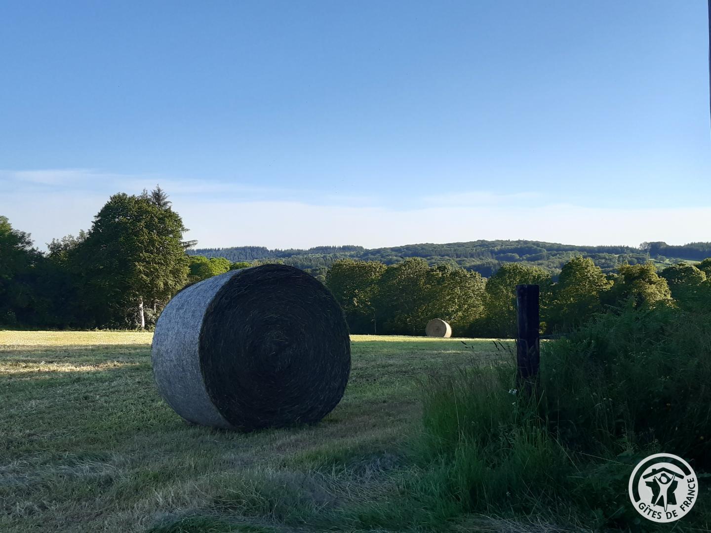 Location Gîtes de France  - Réf : 19G4110, Lamazière-Haute - photo 50