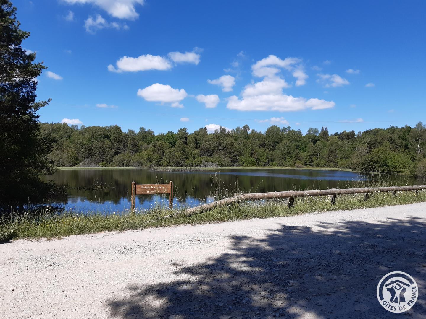 Location Gîtes de France  - Réf : 19G4110, Lamazière-Haute - photo 60