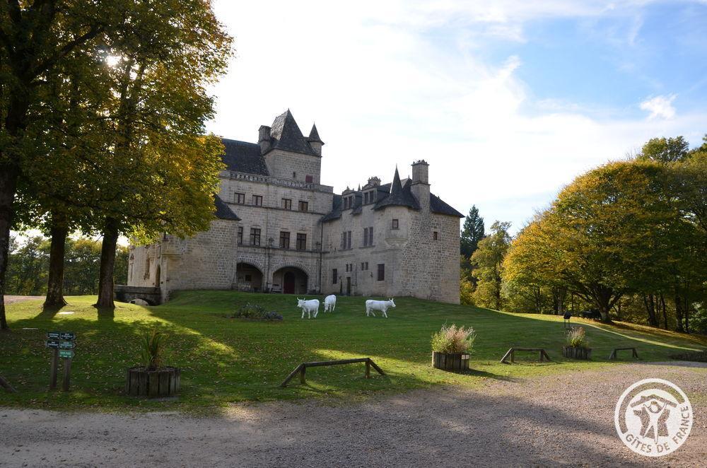 Gîte des Jardinois, Montaignac-sur-Doustre - photo 201