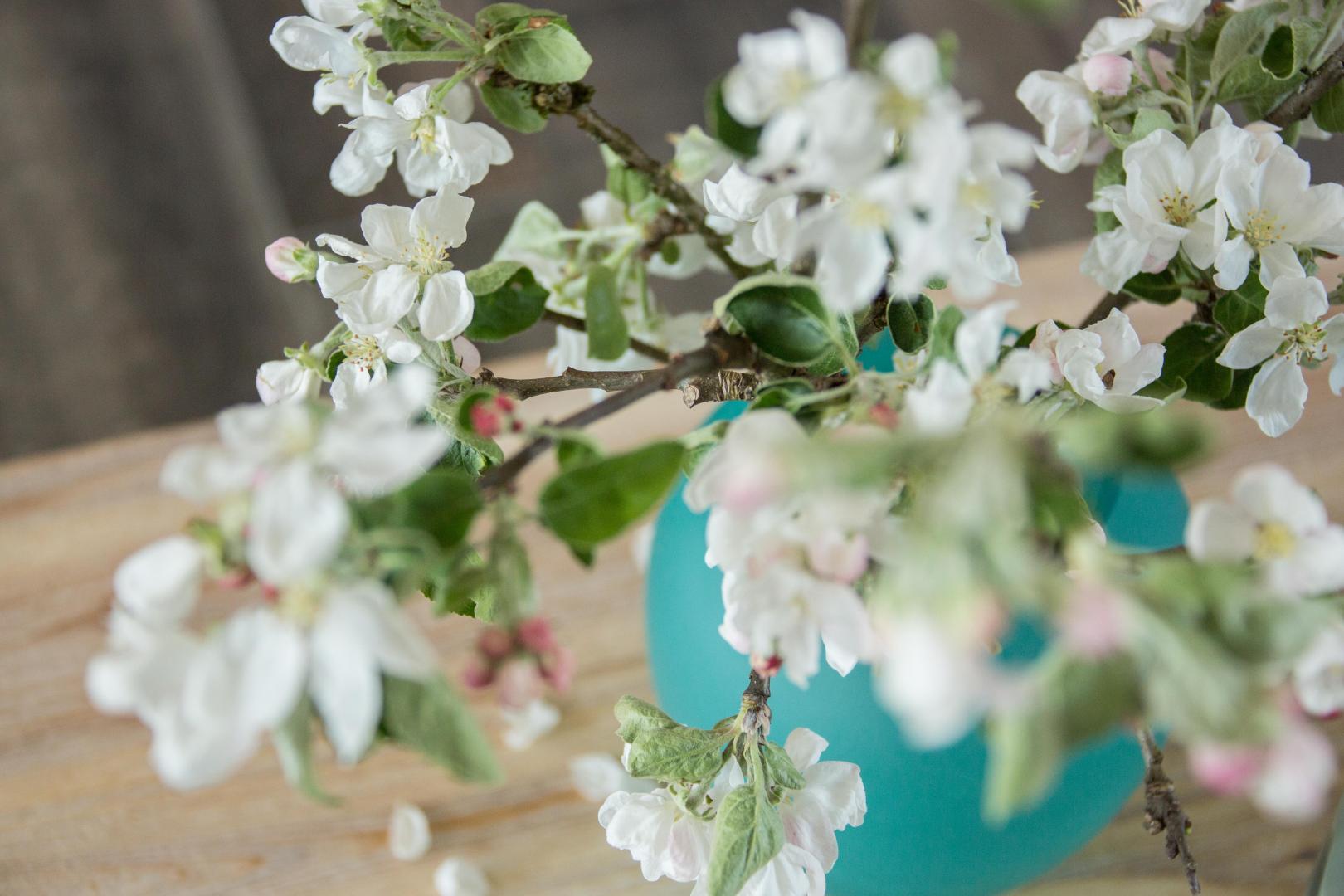 Domaine de Mandrin, Madranges - photo 22