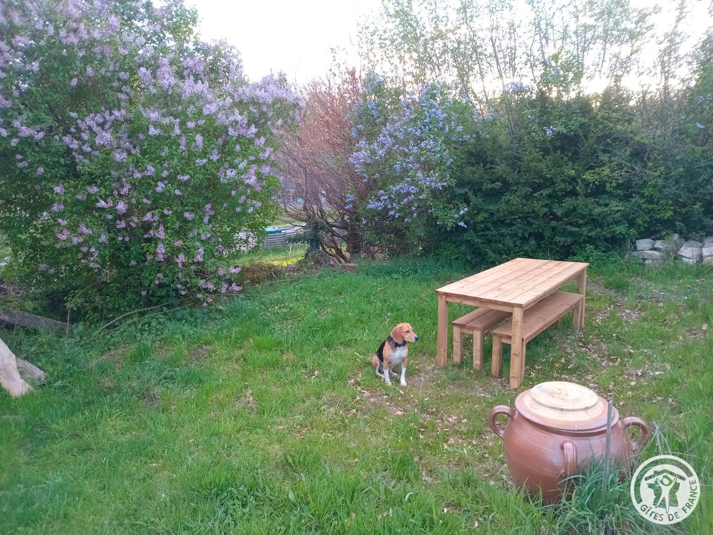 Les Pipistrelles 19 — photo 3