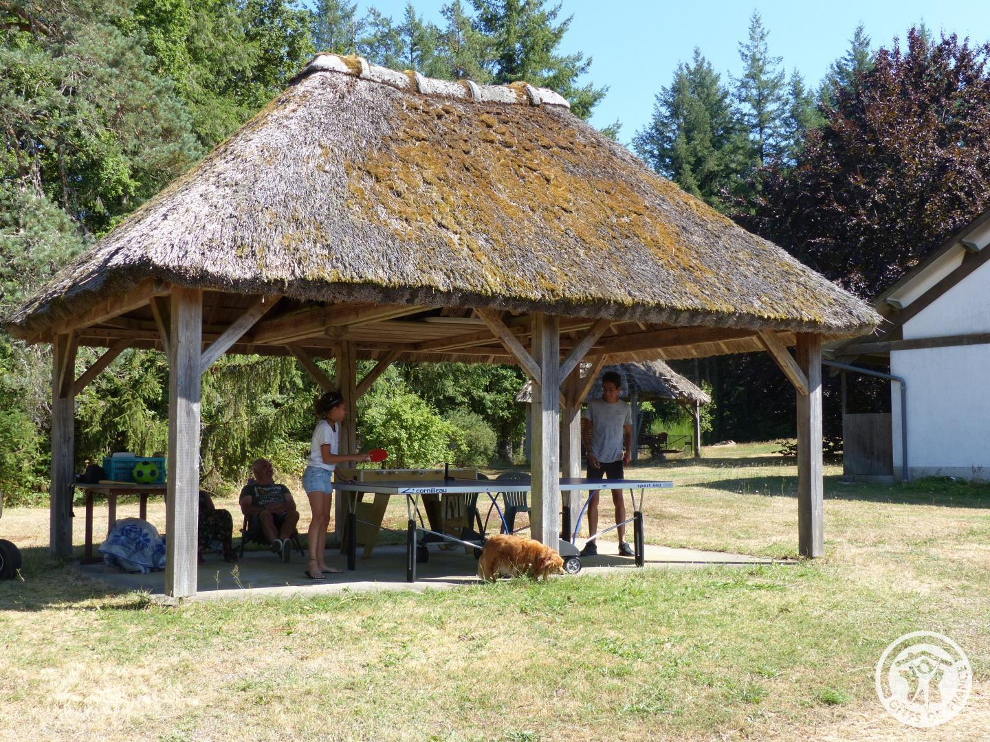 Le Puy de Diane (Le dignou), Montaignac-sur-Doustre - photo 46