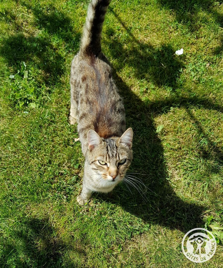 Chas lo Fustier - photo 2