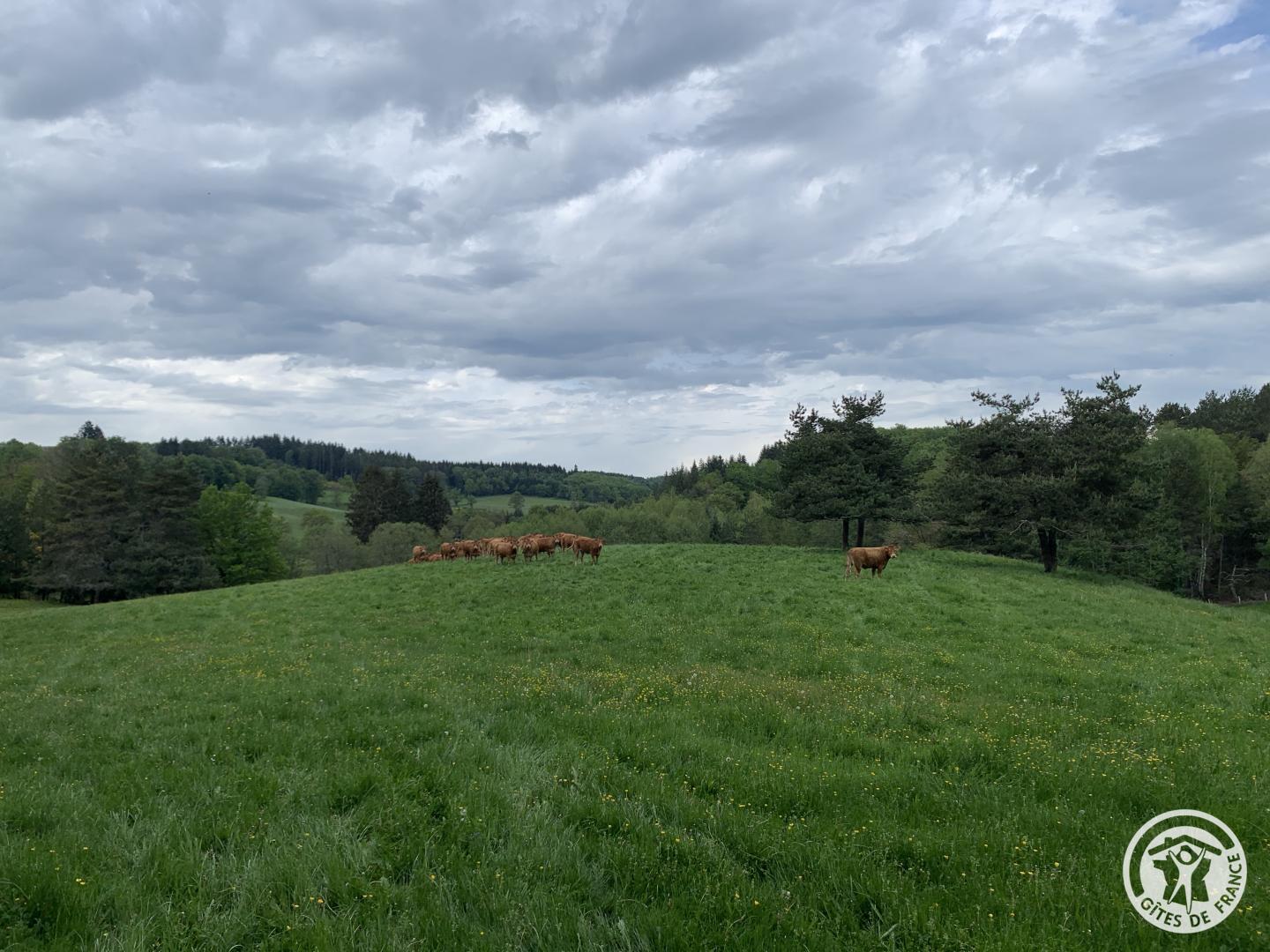 Location Gîtes de France  - Réf : 19G4201, Saint-Exupéry-les-Roches - photo 46