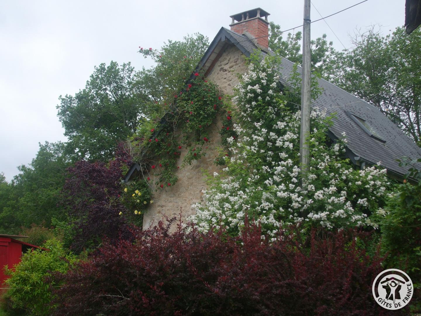 Location Gîtes de France n°19G4234