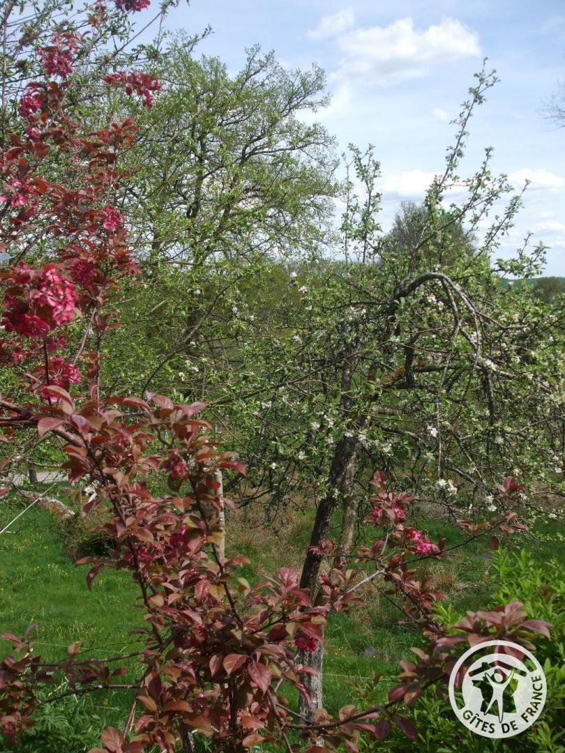 Location Gîtes de France n°19G4235, Saint-Setiers - photo 180