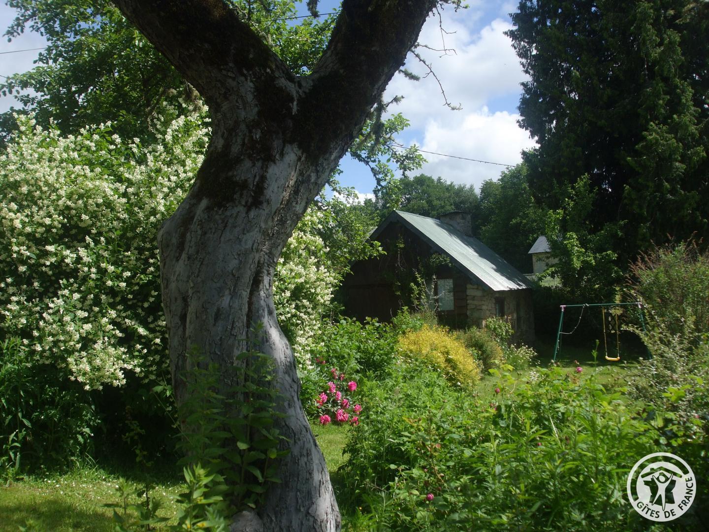 Location Gîtes de France n°19G4235, Saint-Setiers - photo 188