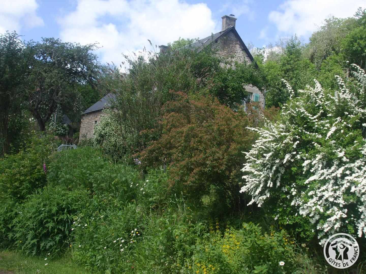 Location Gîtes de France n° 19G42351, Saint-Setiers - photo 220