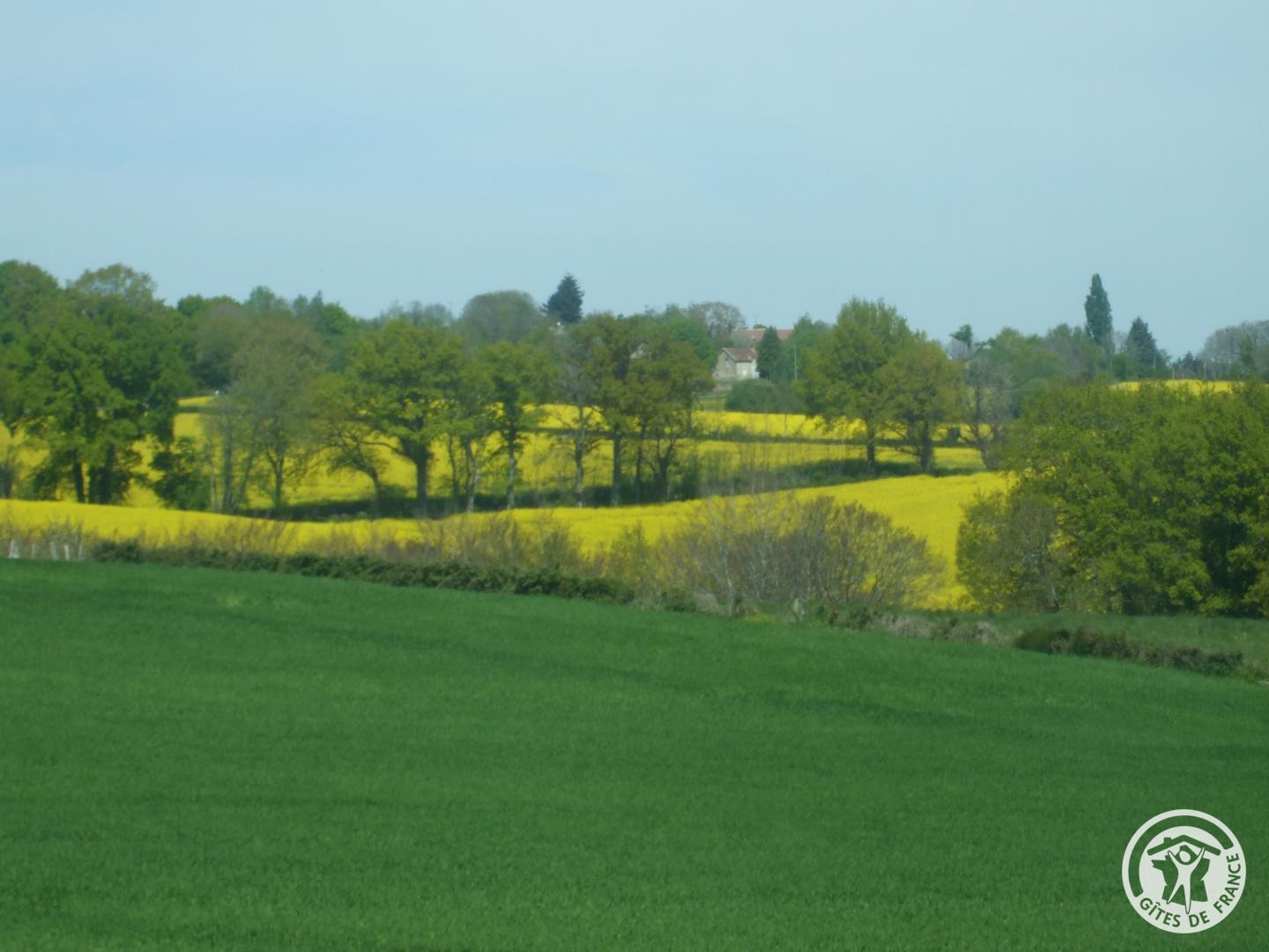 Location Gîtes de France n° 19G42351, Saint-Setiers - photo 228
