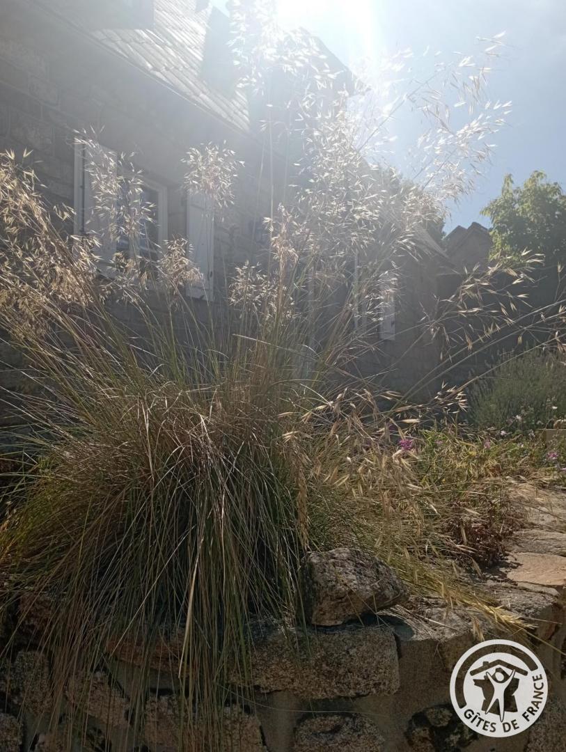 Gîte des Veyssières, Saint-Yrieix-le-Déjalat - photo 177
