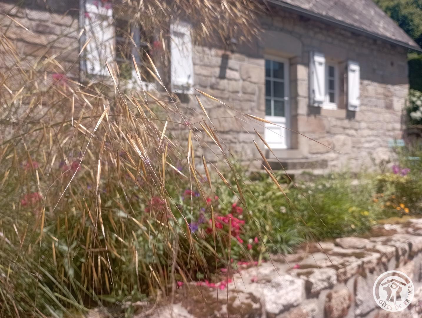 Gîte des Veyssières, Saint-Yrieix-le-Déjalat - photo 179