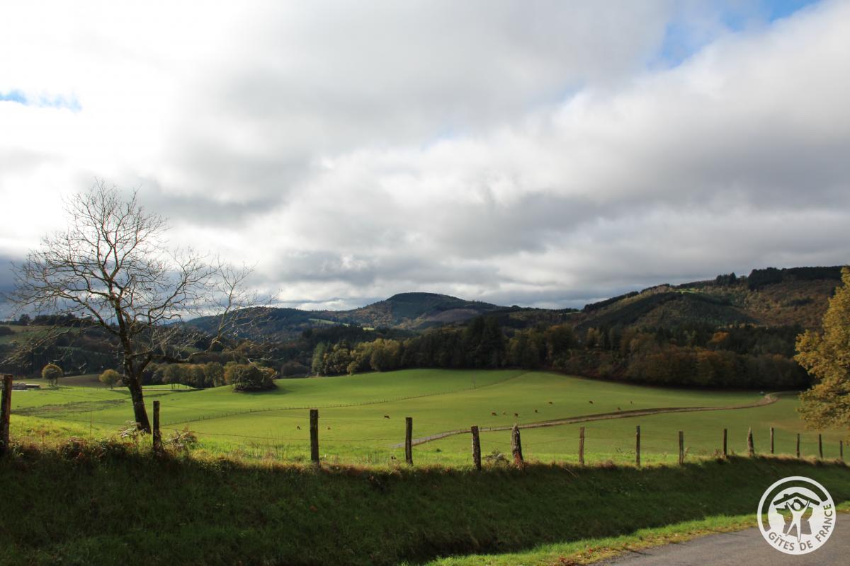 Le Cantou, Saint-Yrieix-le-Déjalat - photo 100