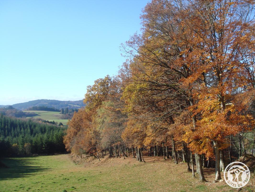 Le Cantou, Saint-Yrieix-le-Déjalat - photo 125