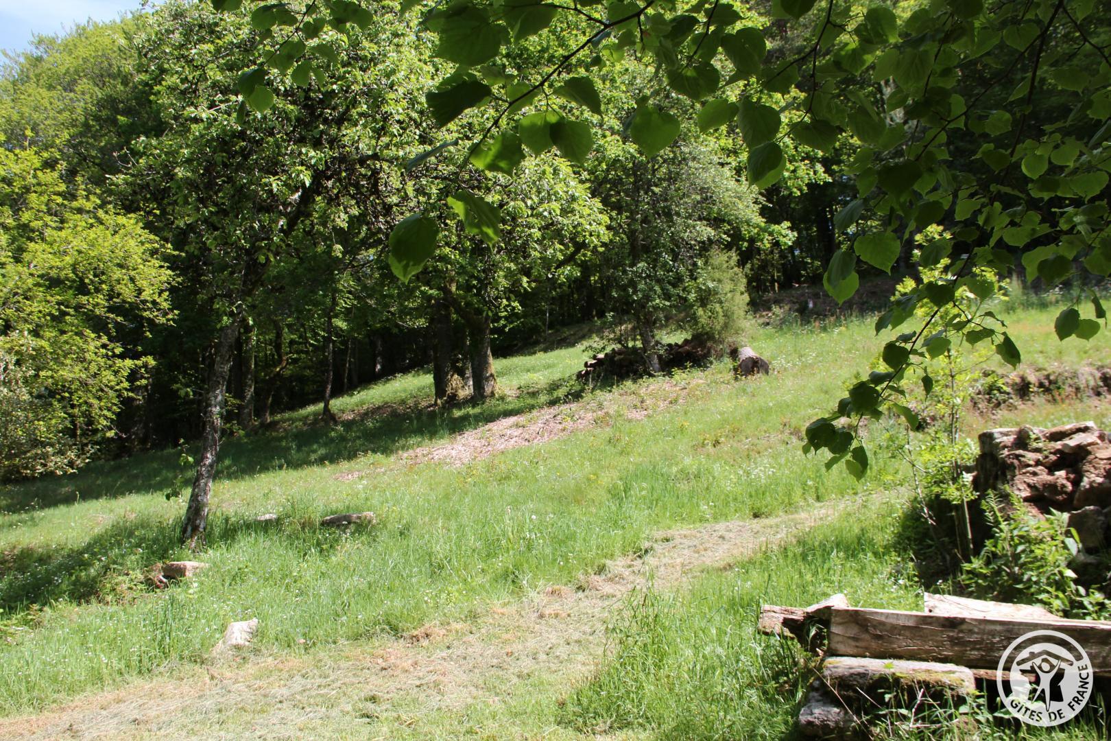 Le Cantou, Saint-Yrieix-le-Déjalat - photo 105