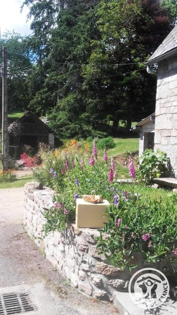 Location Gîtes de France  - Réf : 19G4250, Saint-Yrieix-le-Déjalat - photo 84