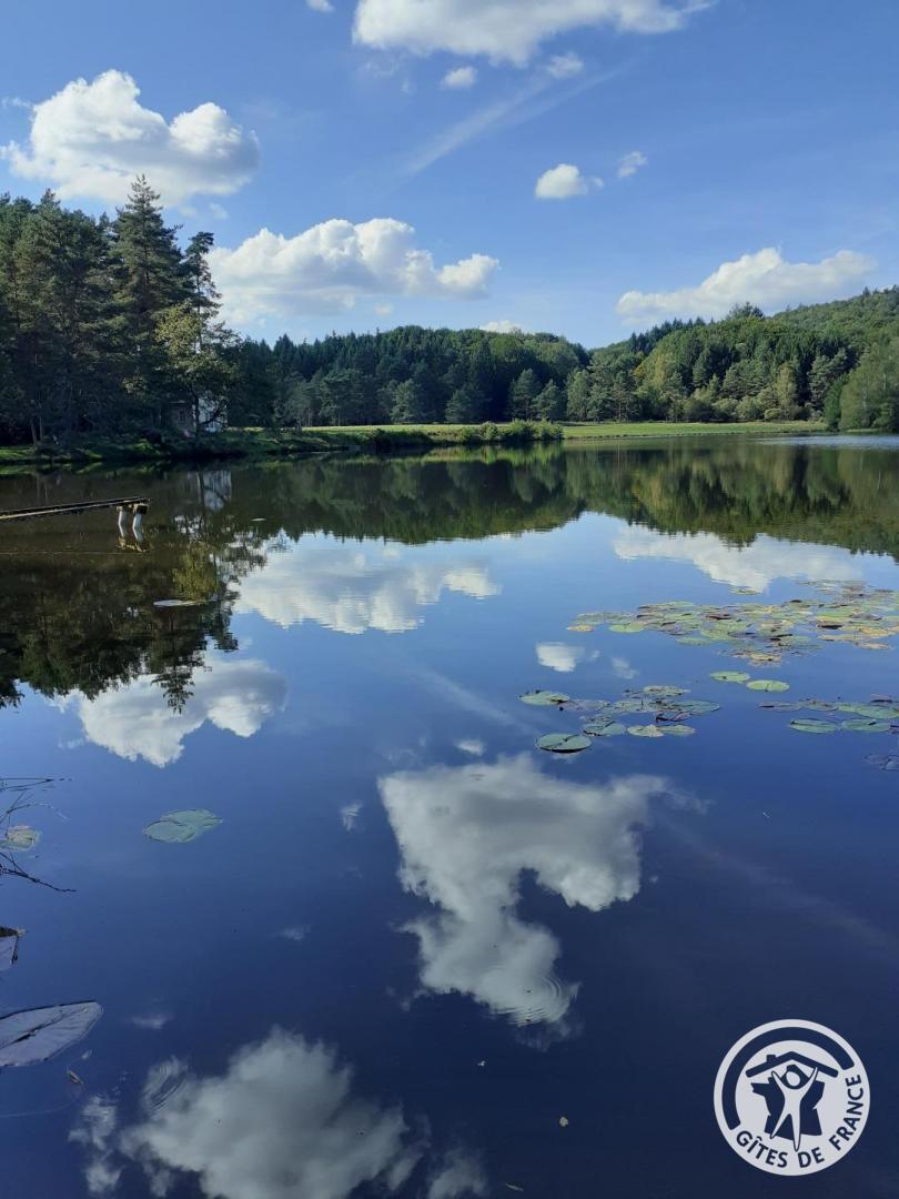 Location Gîtes de France  - Réf : 19G4250, Saint-Yrieix-le-Déjalat - photo 87