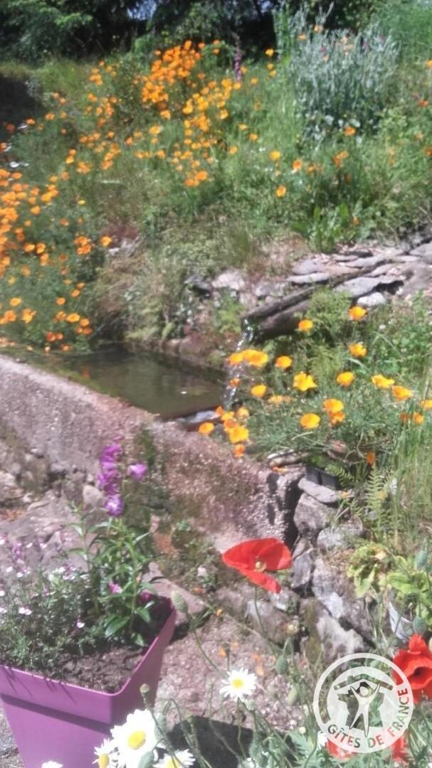 Location Gîtes de France  - Réf : 19G4250, Saint-Yrieix-le-Déjalat - photo 74