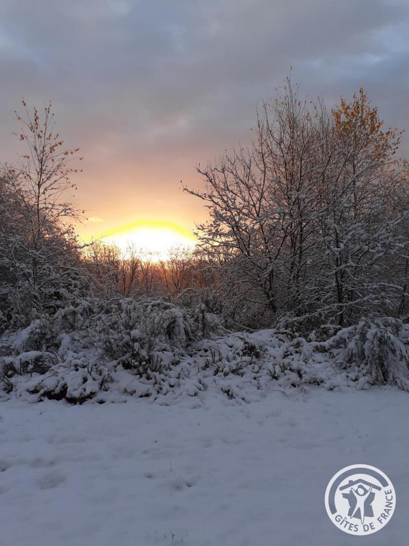 Location Gîtes de France  - Réf : 19G4250, Saint-Yrieix-le-Déjalat - photo 72