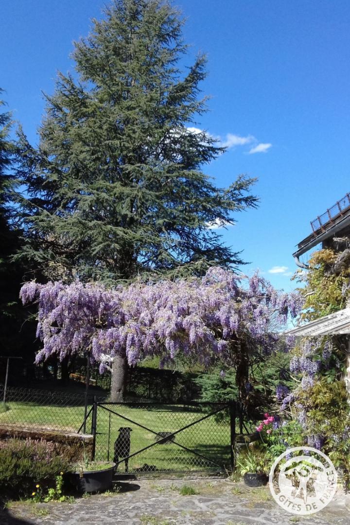 Le Cantou des mille Sources - photo 4