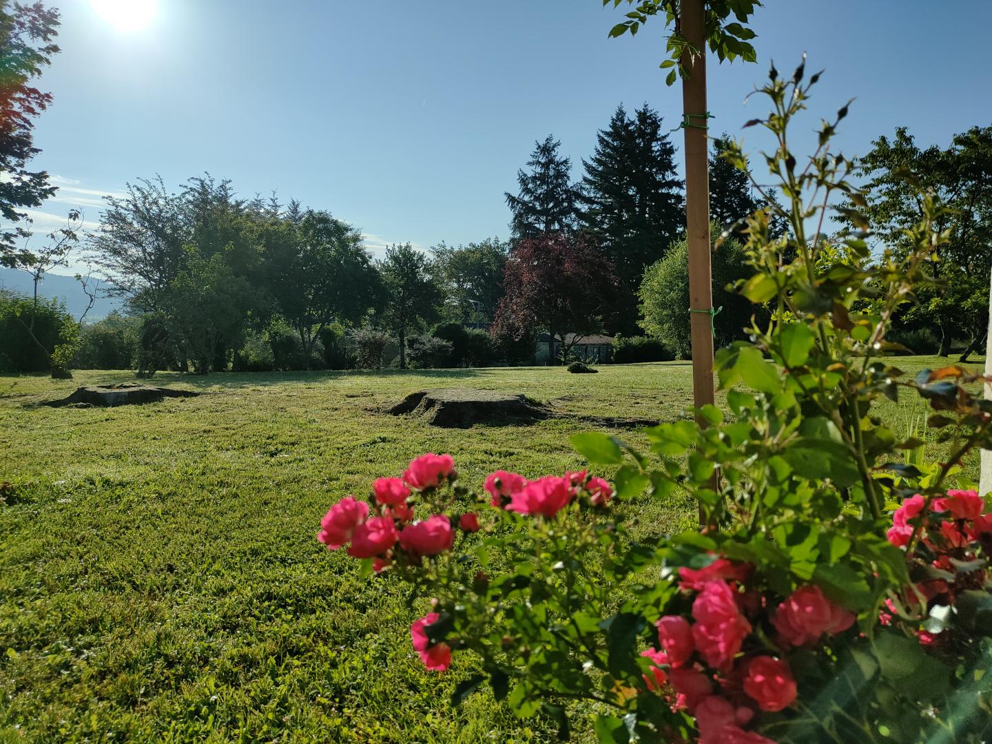 L'Ecole de Rouffiat, Sarran - photo 48