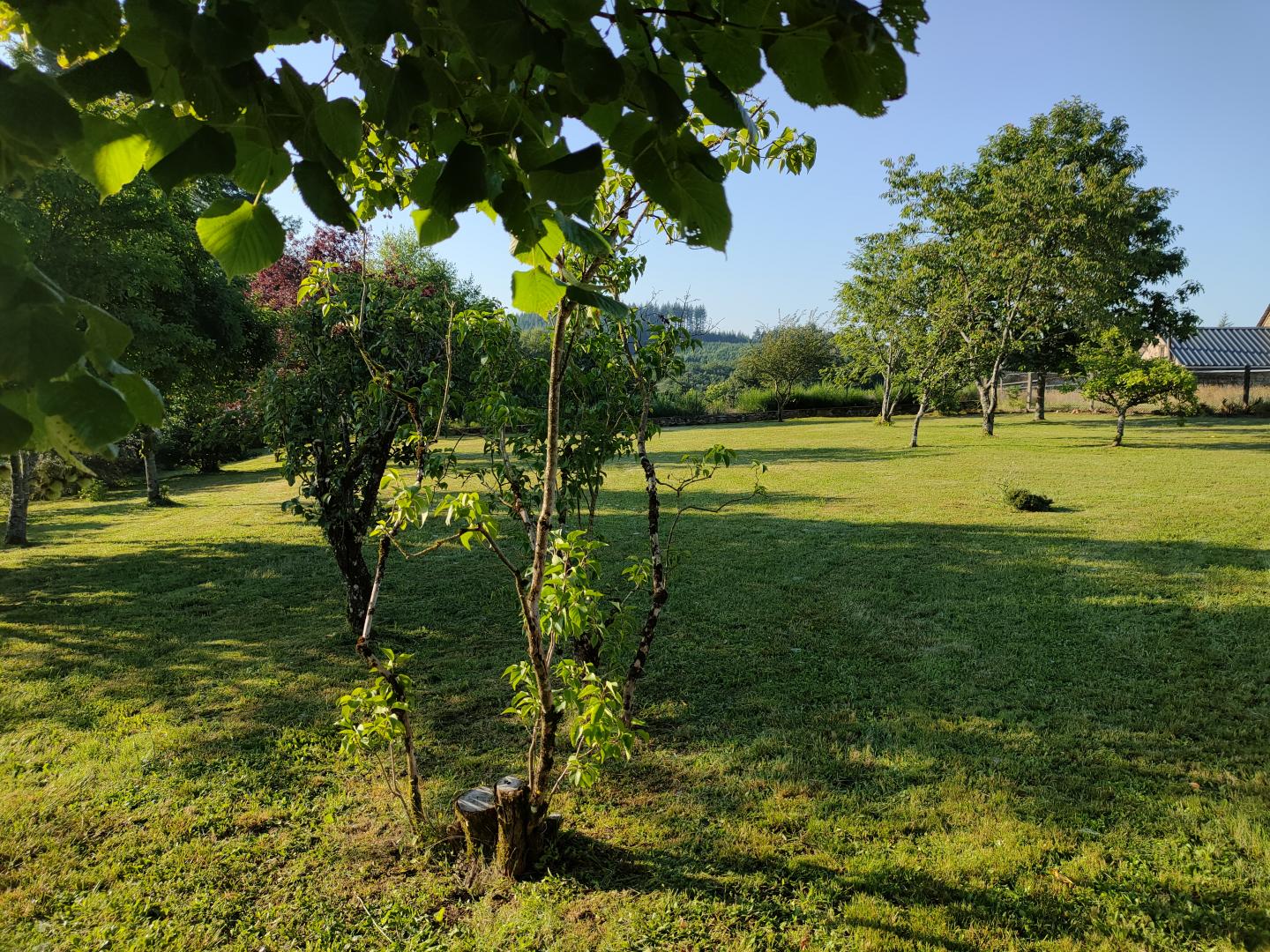 L'Ecole de Rouffiat, Sarran - photo 45