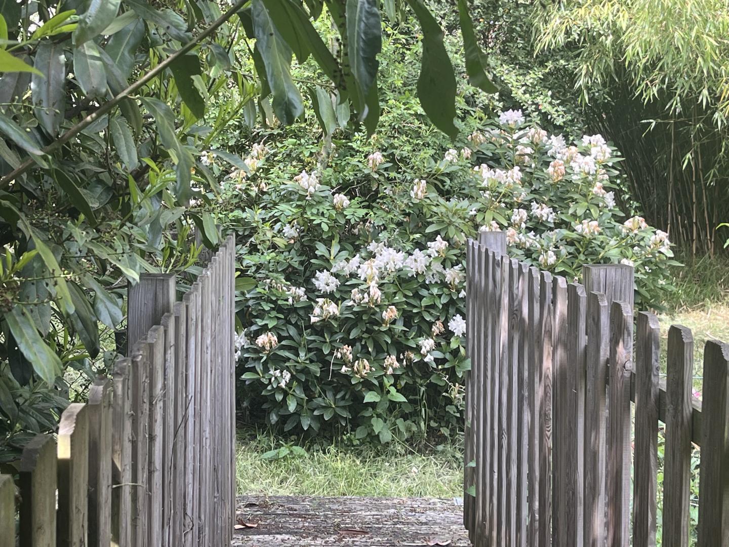 Gîte et jardins fleuris, Sornac - photo 21