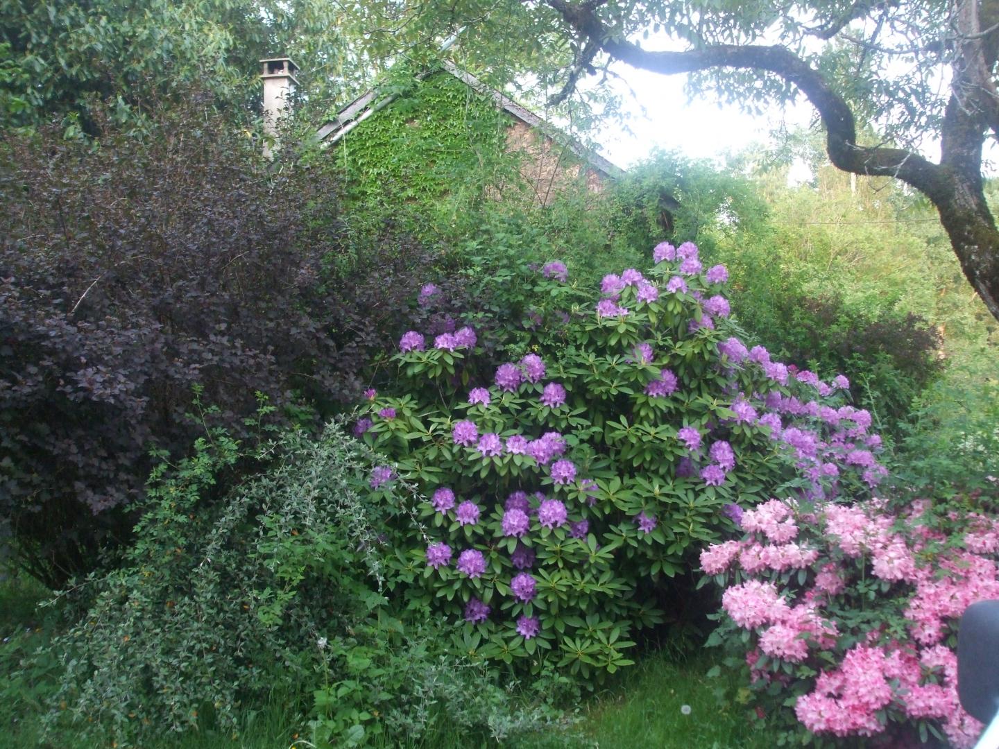 Gîte et jardins fleuris, Sornac - photo 19