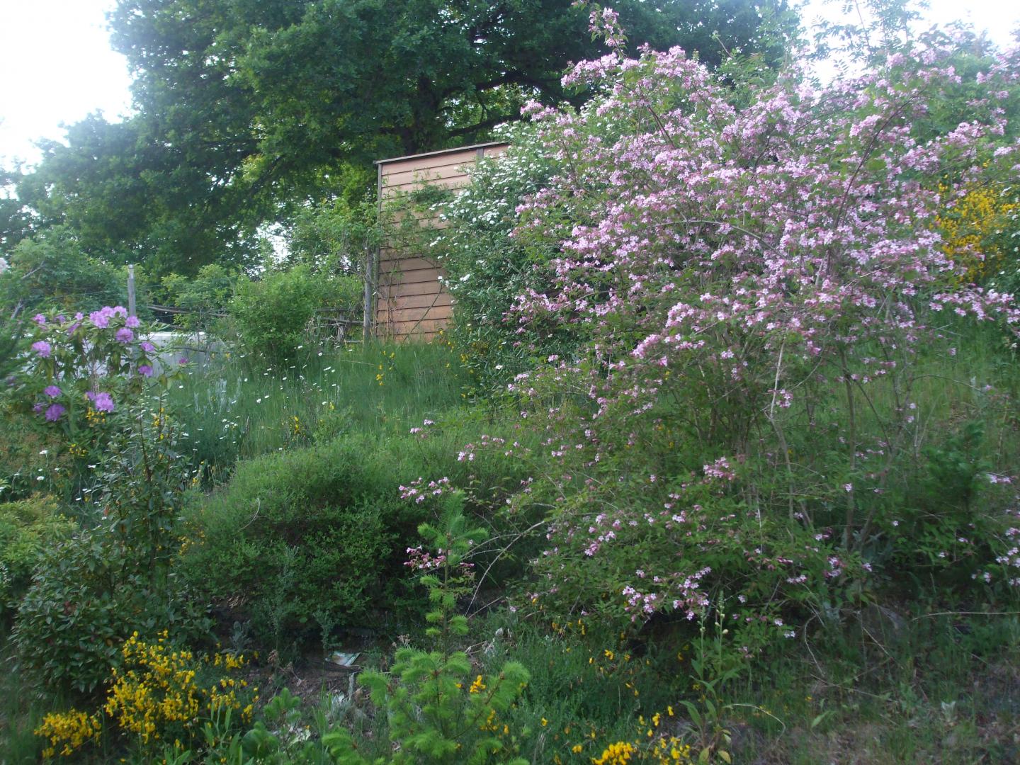 Gîte et jardins fleuris, Sornac - photo 25