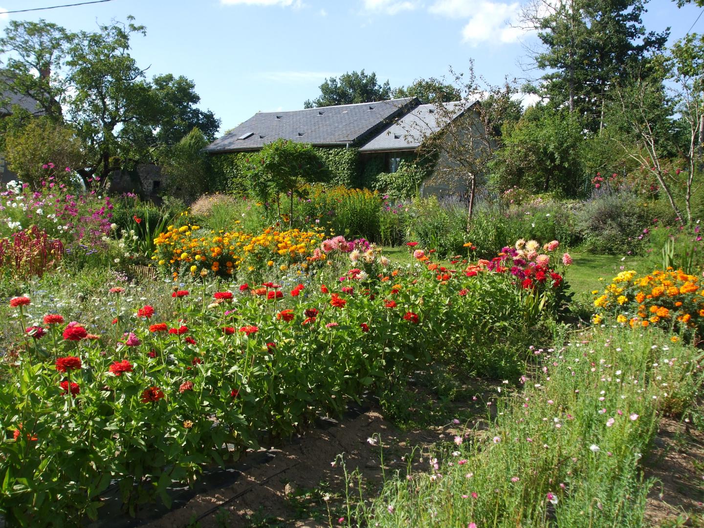 Gîte et jardins fleuris, Sornac - photo 38