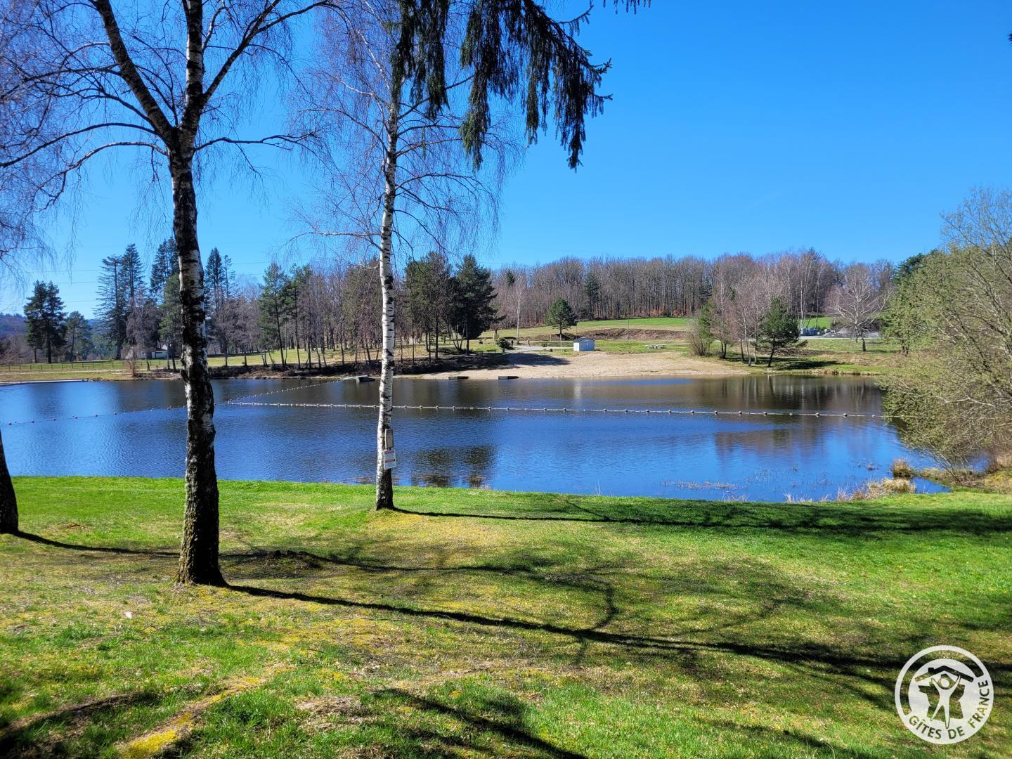 Les Myrtilles - photo 2