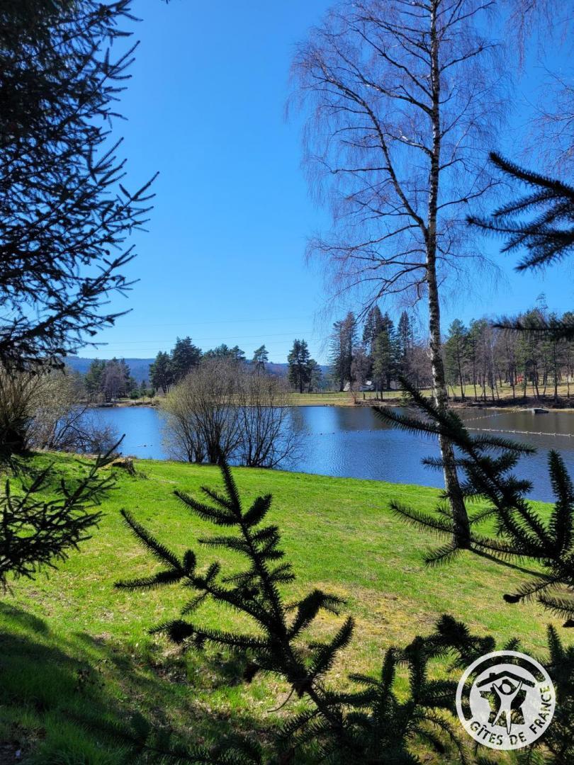 Les Gentianes, Sornac - photo 87