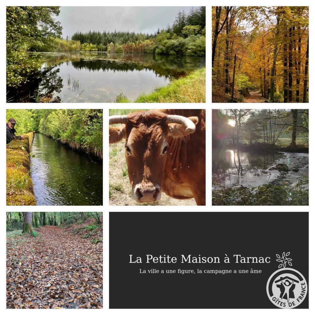 La Petite Maison, Tarnac - photo 109