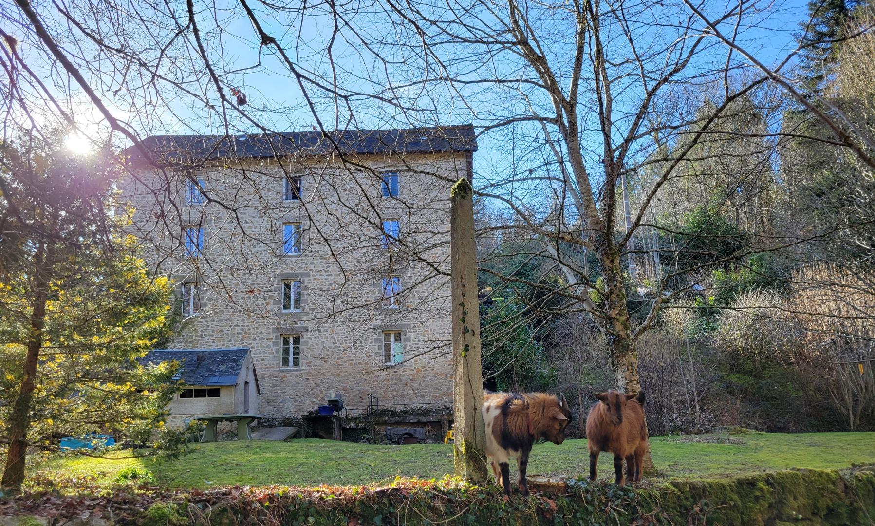 Studio, Treignac - photo 6