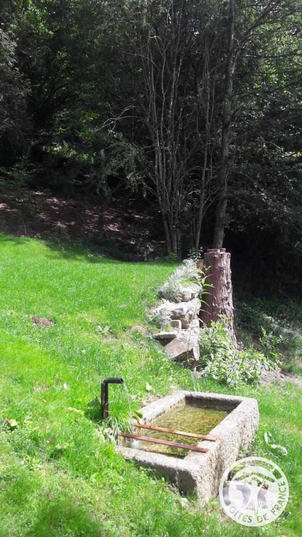 Gîte de la Chauvanche, Ussel - photo 59