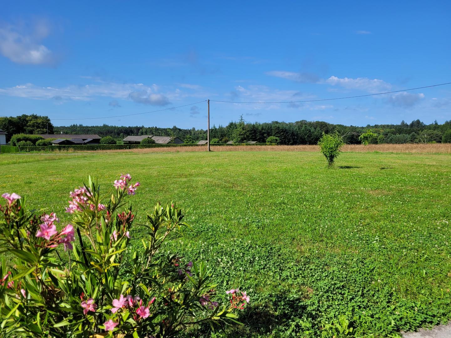 Chambre d'hôtes Les Granges - photo 2