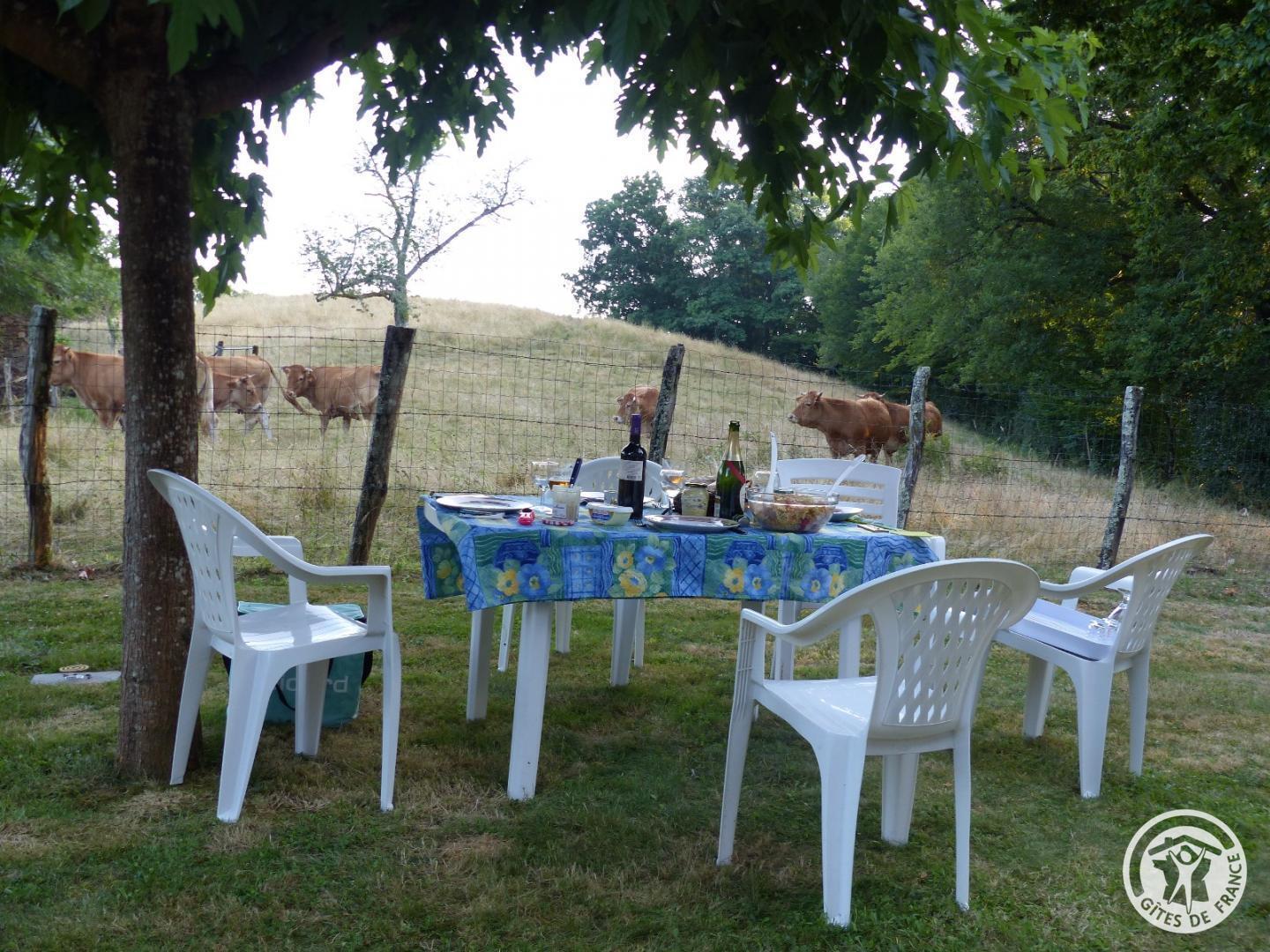 Location Gîtes de France - Réf : 19G5007 - photo 4