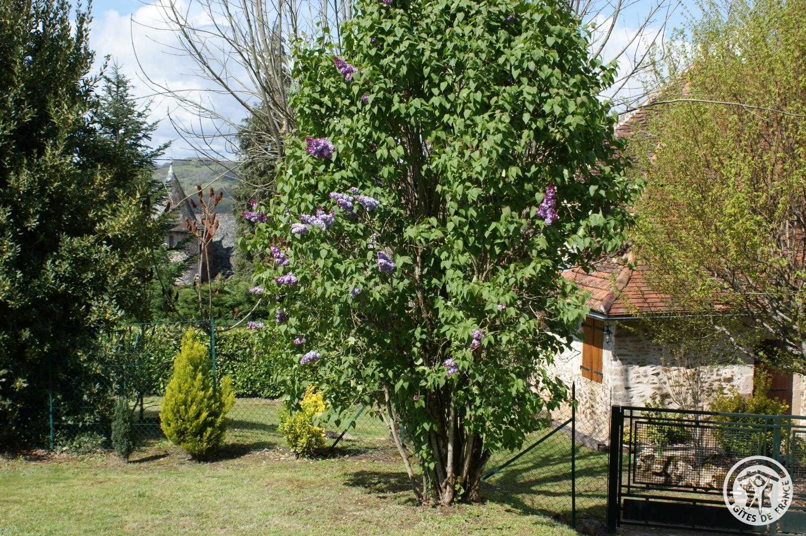 La Maison de Jeanne, Altillac - photo 74