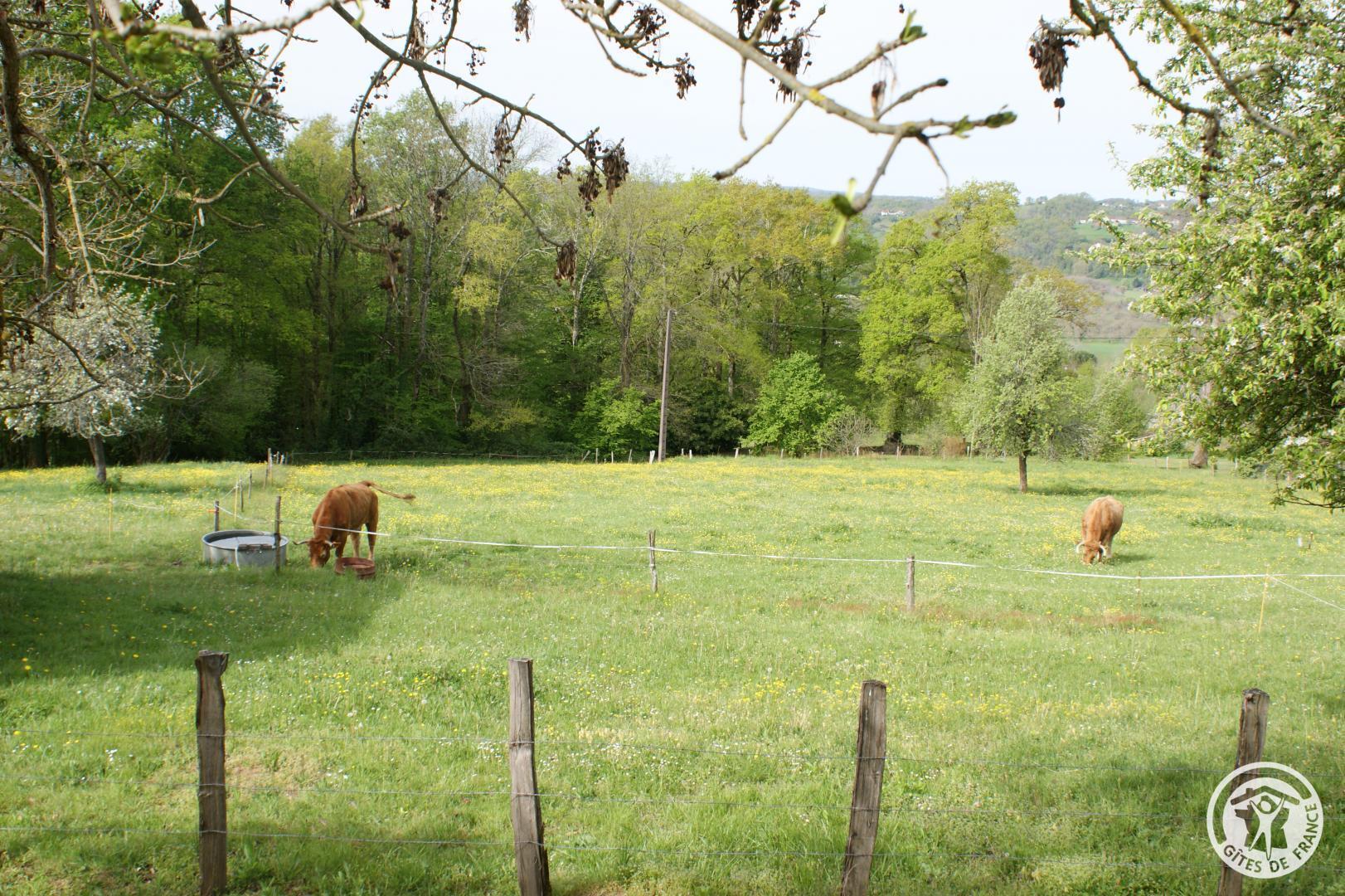 La Maison de Jeanne - photo 2