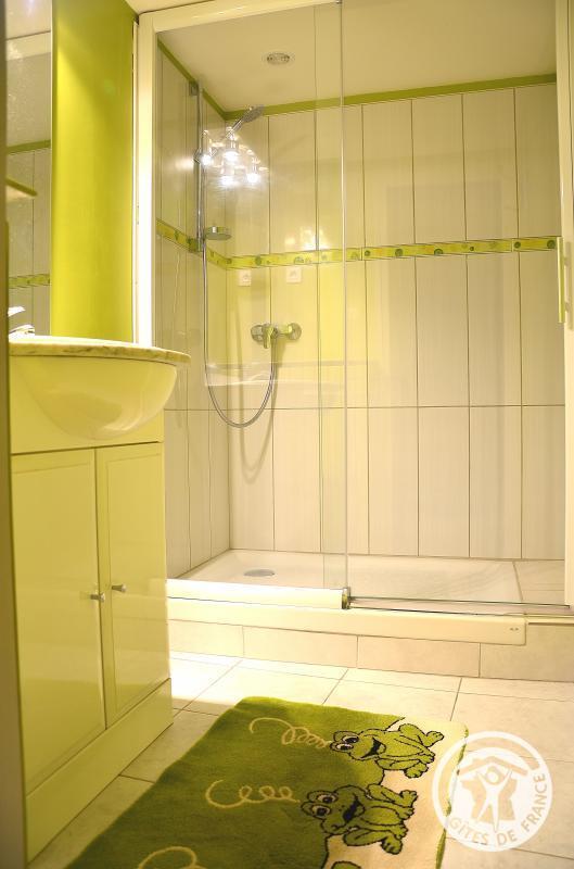 Gîte en Duplex, Beaulieu-sur-Dordogne - photo 43